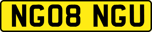 NG08NGU