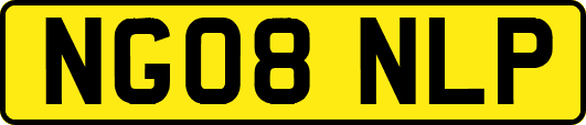 NG08NLP