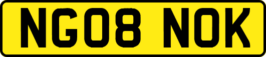 NG08NOK