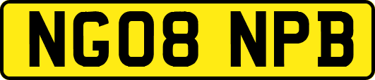 NG08NPB