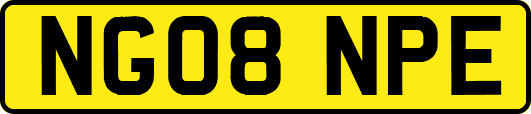 NG08NPE