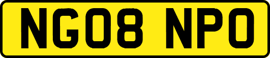 NG08NPO
