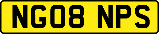 NG08NPS