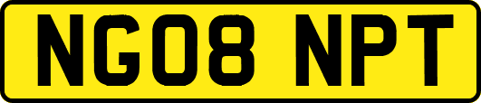 NG08NPT