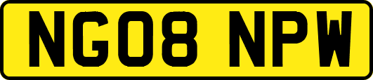 NG08NPW