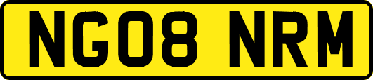 NG08NRM