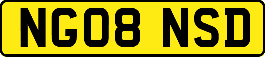 NG08NSD
