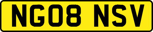 NG08NSV
