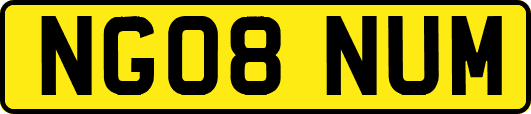 NG08NUM