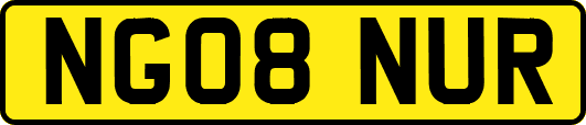 NG08NUR