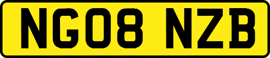 NG08NZB
