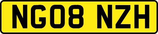 NG08NZH