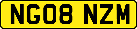 NG08NZM