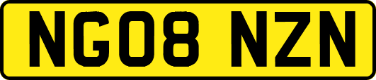 NG08NZN