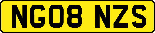 NG08NZS
