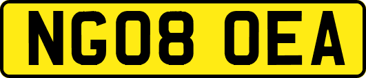 NG08OEA
