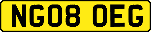 NG08OEG