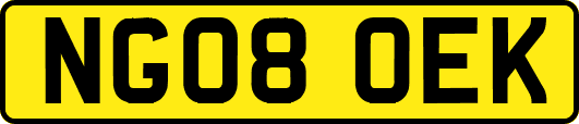 NG08OEK
