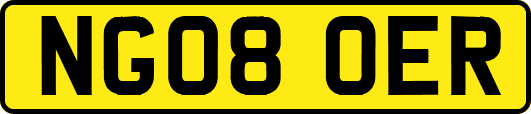 NG08OER