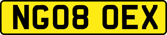 NG08OEX
