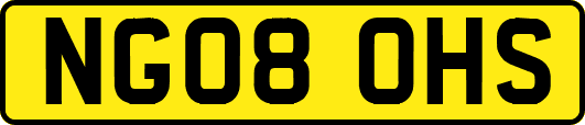 NG08OHS