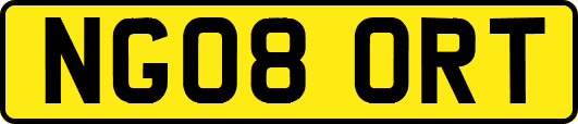 NG08ORT