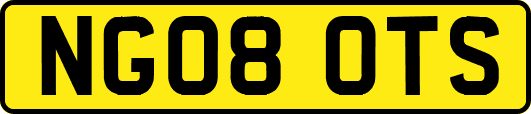 NG08OTS