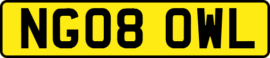 NG08OWL
