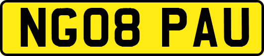 NG08PAU