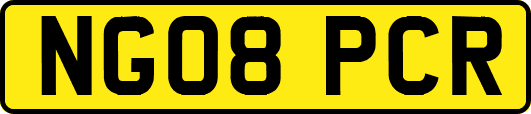 NG08PCR