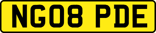NG08PDE