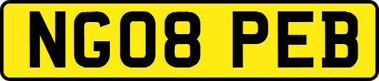 NG08PEB