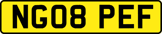NG08PEF