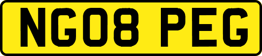 NG08PEG