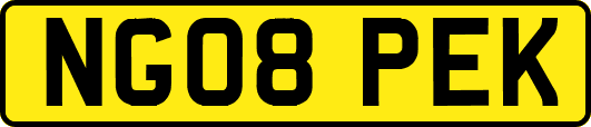 NG08PEK