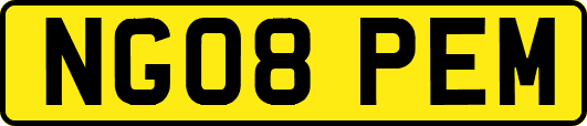 NG08PEM