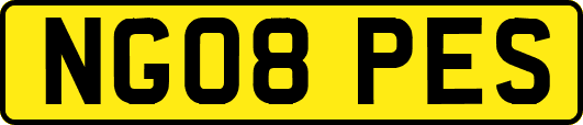 NG08PES