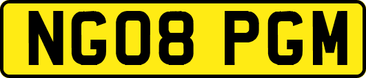 NG08PGM