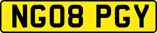 NG08PGY