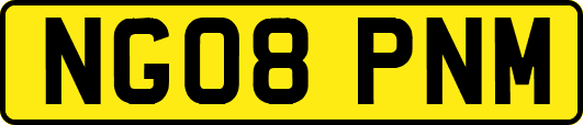 NG08PNM