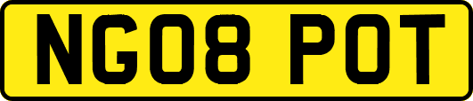 NG08POT