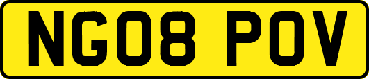 NG08POV