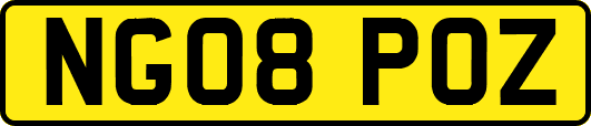 NG08POZ