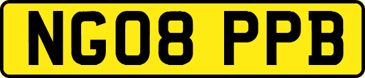 NG08PPB
