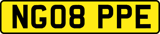NG08PPE