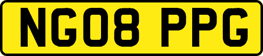 NG08PPG