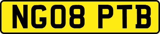 NG08PTB