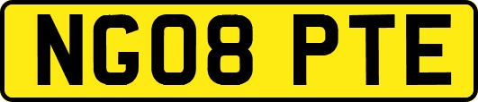 NG08PTE