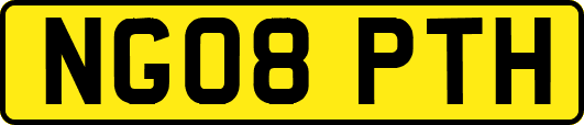 NG08PTH