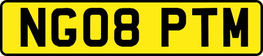 NG08PTM